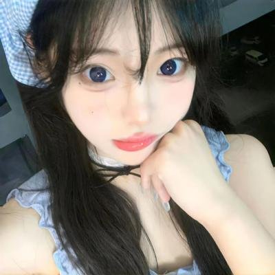 黑眉蚊